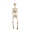 Skeleton dekorácia na zavesenie, 92 cm